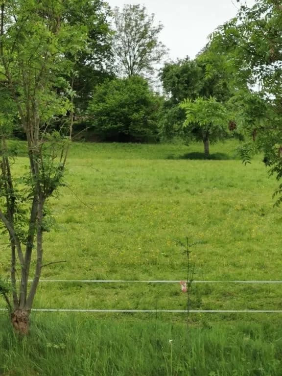 Grundstück kaufen in Villach Land – 14 300 m², € 591.440