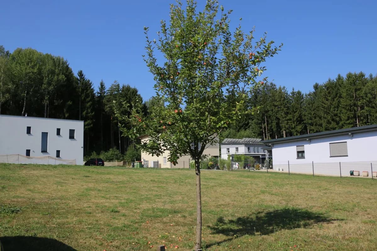 Grundstück kaufen in Voitsberg – 761 m², € 76.000 – Bild 13 von 19