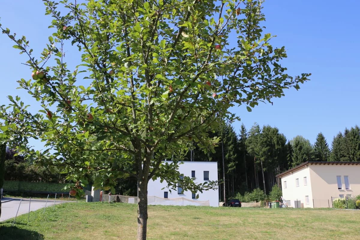 Grundstück kaufen in Voitsberg – 761 m², € 76.000 – Bild 14 von 19