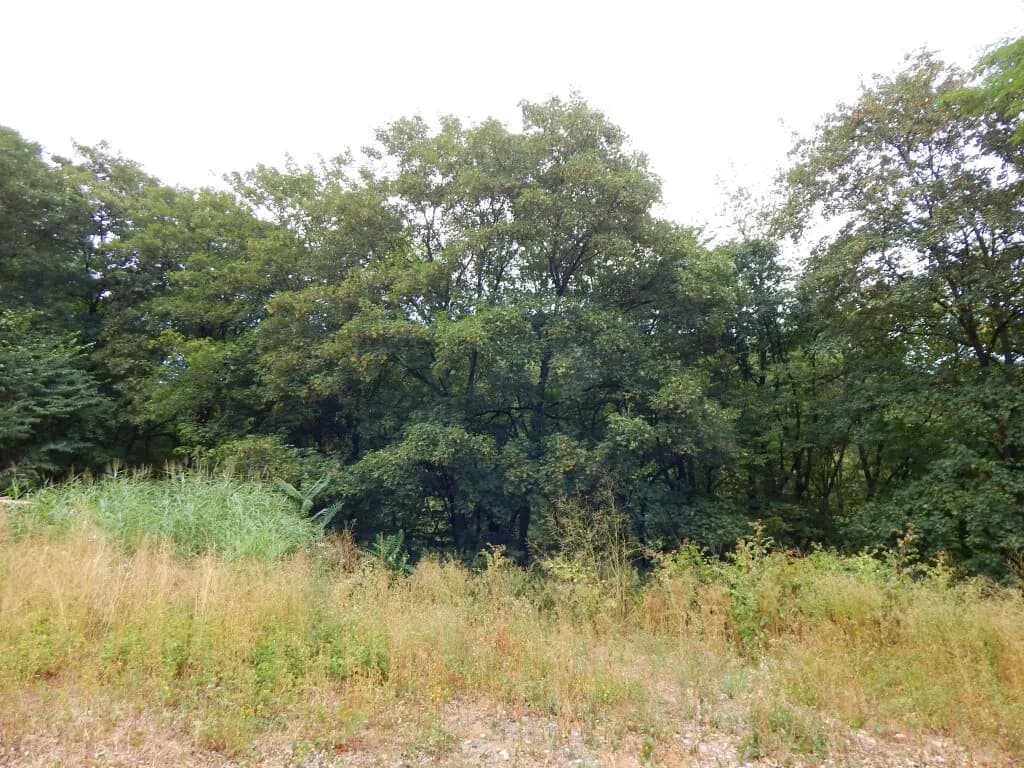 5-Zimmer-Haus kaufen in Sankt Pölten Land – 112 m², € 580.000 – Bild 42 von 50