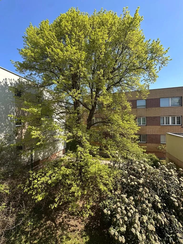 2-Zimmer-Wohnung kaufen in Mödling – 61 m², € 237.000 – Bild 17 von 19