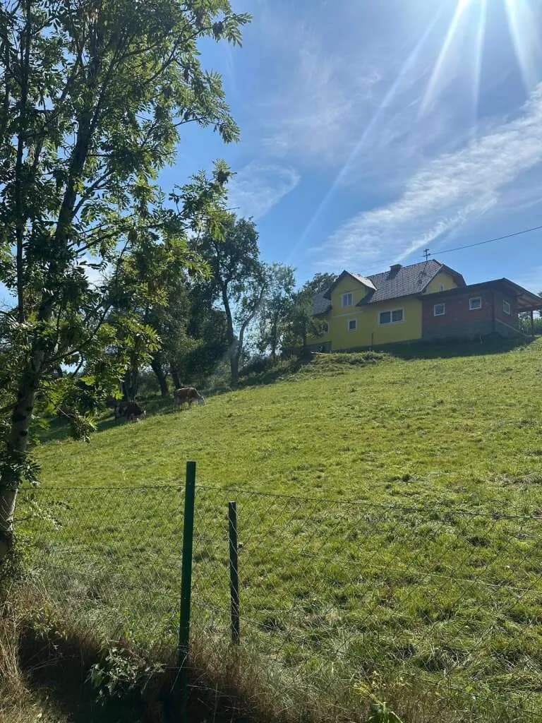 6-Zimmer-Haus kaufen in Völkermarkt – 170 m², € 244.000 – Bild 5 von 18