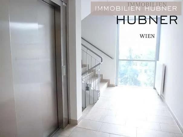 2-Zimmer-Wohnung mieten in Wien – 55 m², € 1.379 – Bild 13 von 15