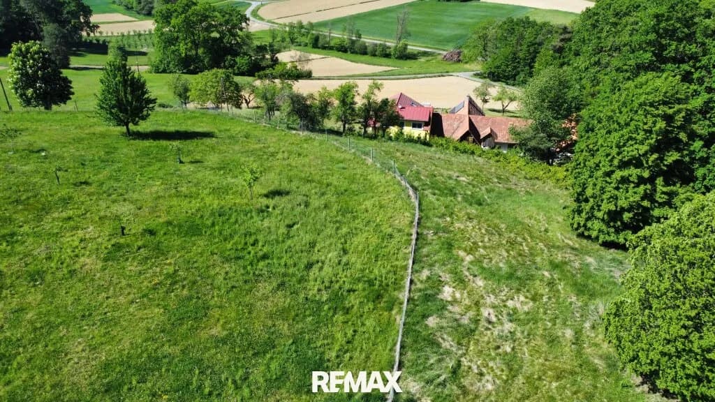 Grundstück kaufen in Südoststeiermark – 23 105 m², € 169.000 – Bild 6 von 17