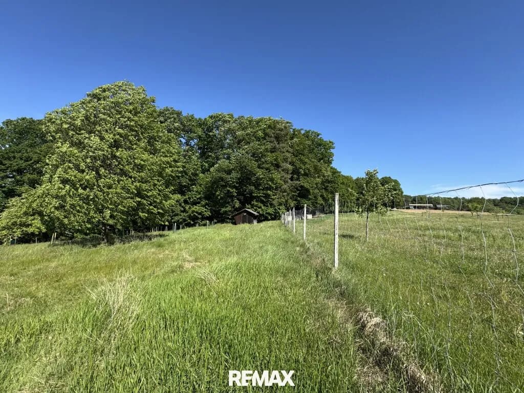 Grundstück kaufen in Südoststeiermark – 23 105 m², € 169.000 – Bild 16 von 17