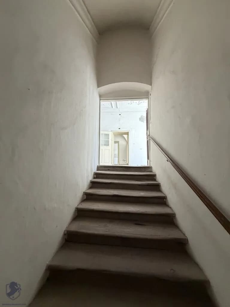 6-Zimmer-Wohnung kaufen in Tulln – 328,47 m² – Bild 5 von 26