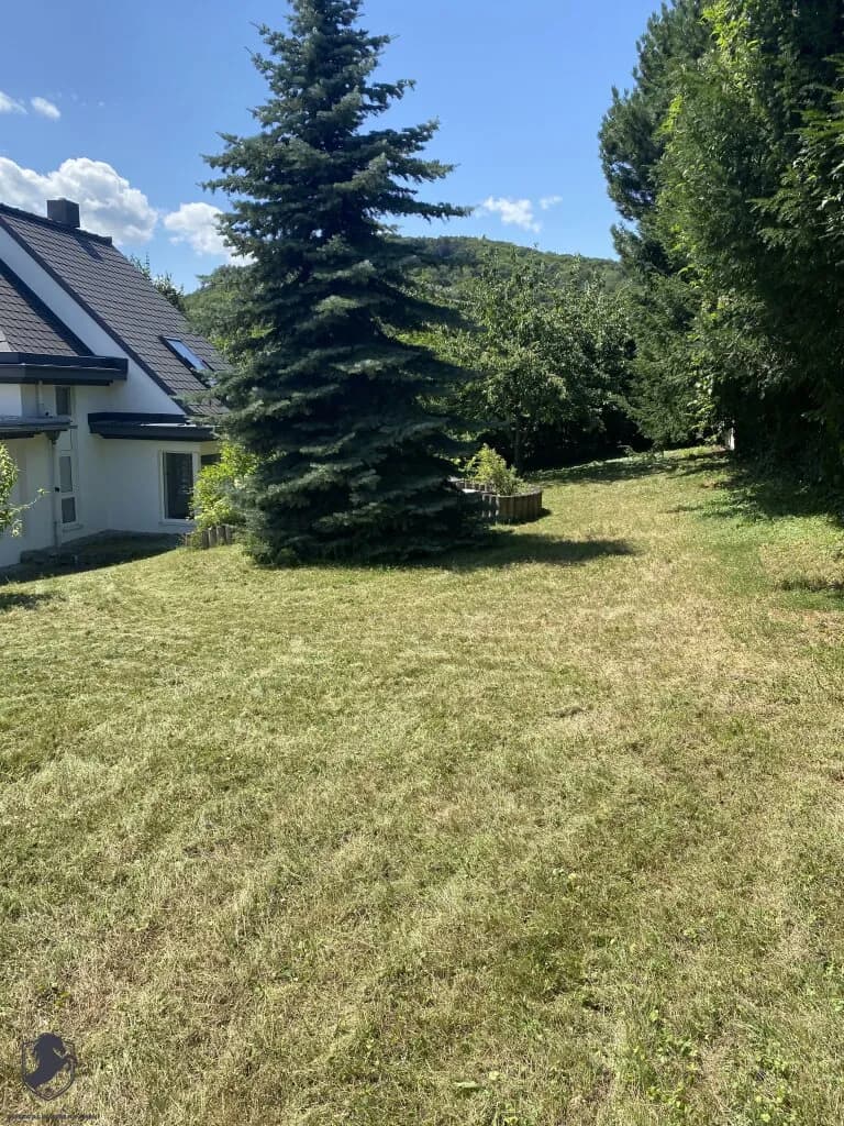 11-Zimmer-Immobilie kaufen in Mödling – 601 m², € 3.600.000 – Bild 8 von 83