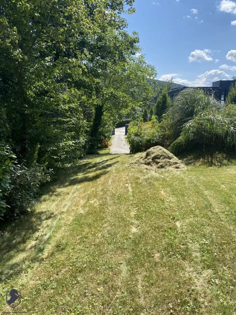 11-Zimmer-Immobilie kaufen in Mödling – 601 m², € 3.600.000 – Bild 63 von 83