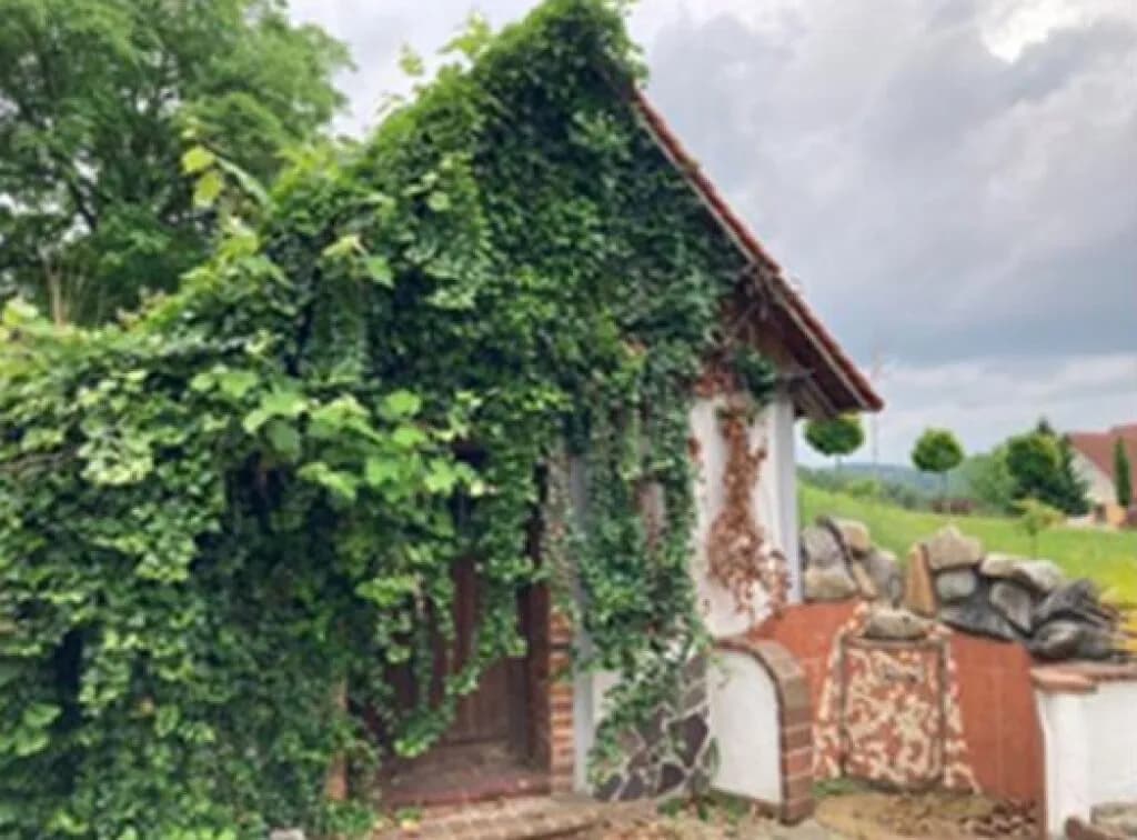 Gewerbeimmobilie kaufen in Hartberg-Fürstenfeld – 9 694 m², € 700.000 – Bild 18 von 30