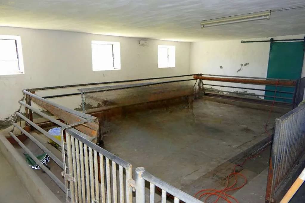 Immobilie kaufen in Horn – 180 m², € 490.000 – Bild 15 von 20