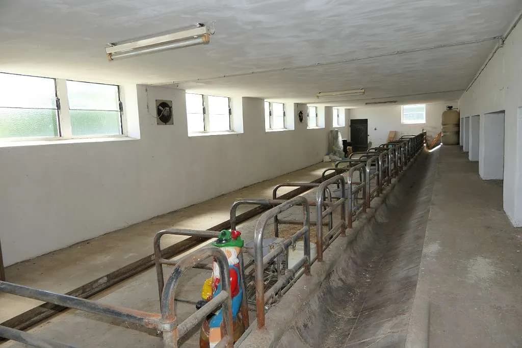 Immobilie kaufen in Horn – 180 m², € 490.000 – Bild 16 von 20
