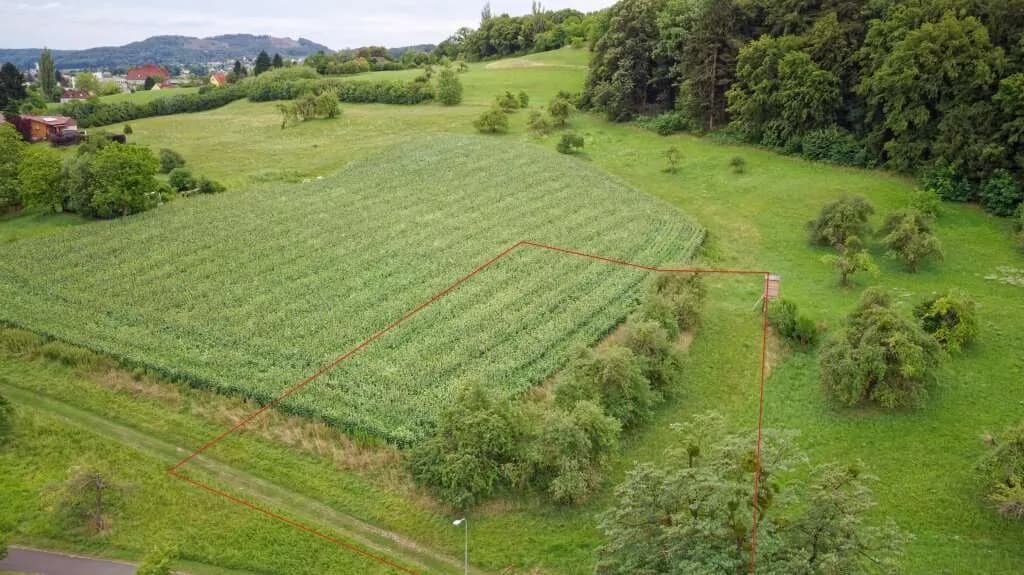 Grundstück kaufen in Südoststeiermark – 2 516 m², € 251.600 – Bild 2 von 6