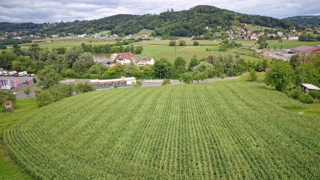 Grundstück kaufen in Südoststeiermark – 2 516 m², € 251.600 – Bild 3 von 6