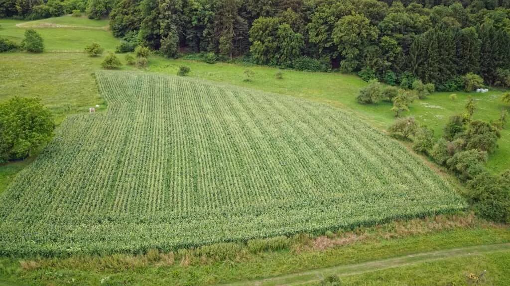 Grundstück kaufen in Südoststeiermark – 2 516 m², € 251.600 – Bild 4 von 6