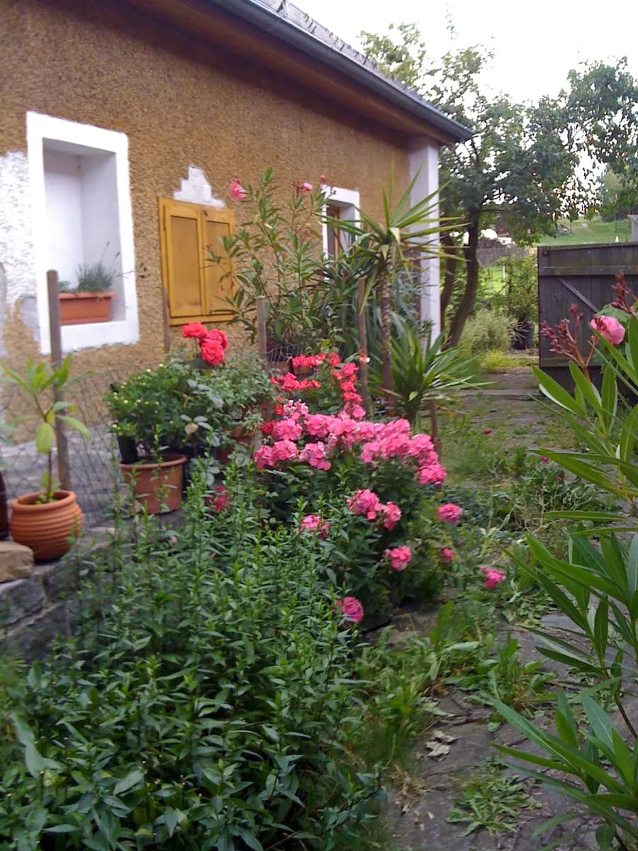 Haus kaufen in Krems Land – 200 m², € 400.000 – Bild 5 von 15