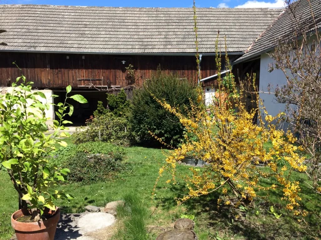 Haus kaufen in Krems Land – 200 m², € 400.000 – Bild 6 von 15