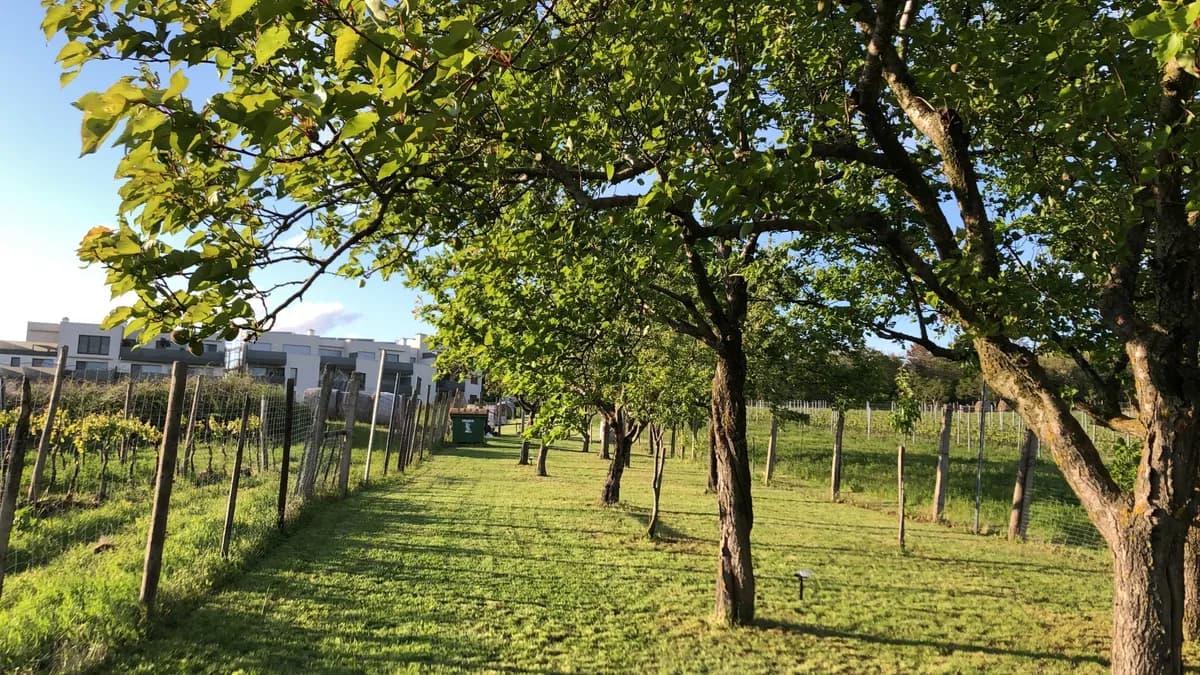 Grundstück kaufen in Neusiedl am See – 1 485 m², € 39.000 – Bild 6 von 14