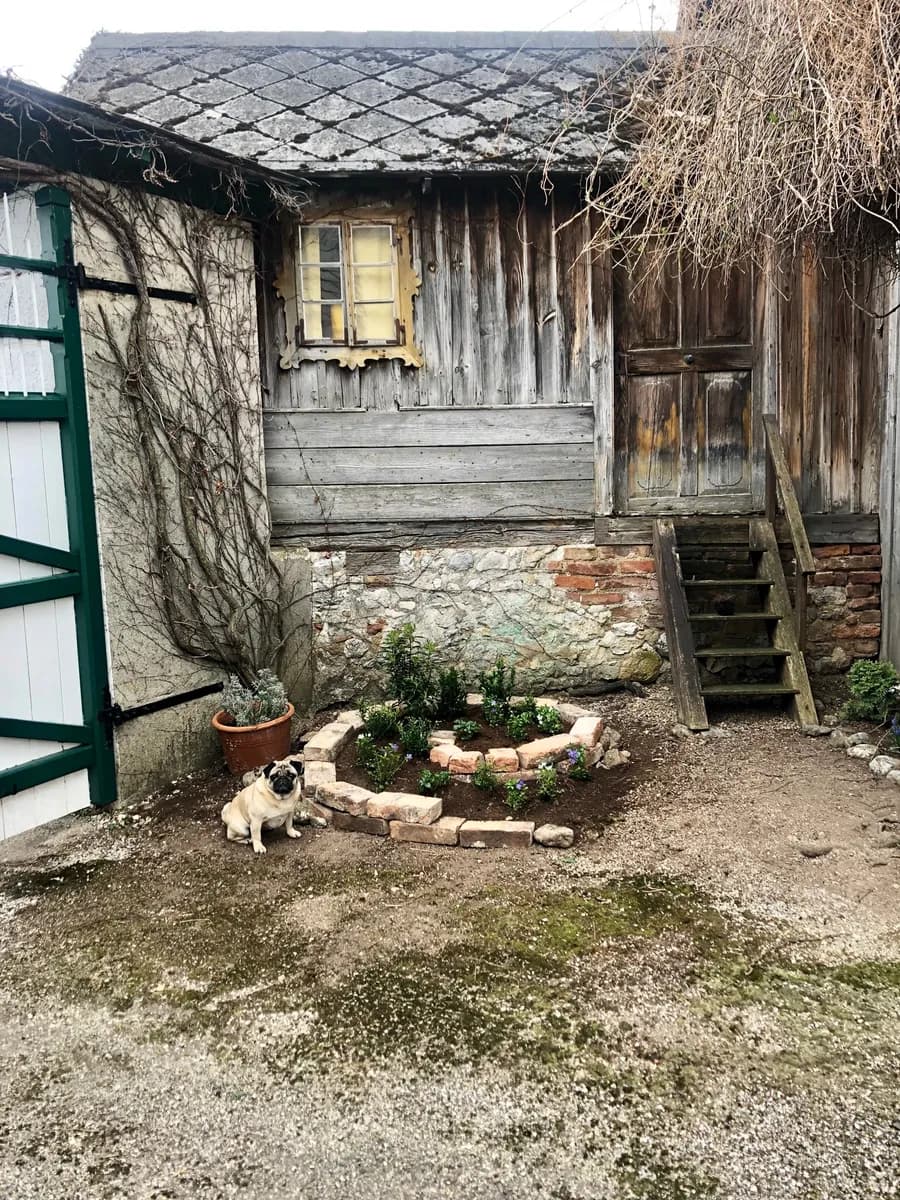 7-Zimmer-Immobilie kaufen in Neunkirchen – 224 m², € 750.000 – Bild 5 von 19