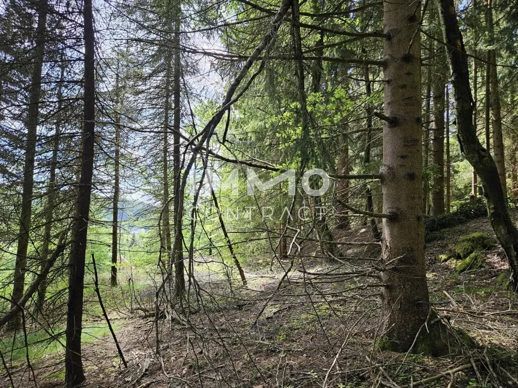 5-Zimmer-Haus kaufen in Gmünd – 160 m², € 159.000 – Bild 22 von 23