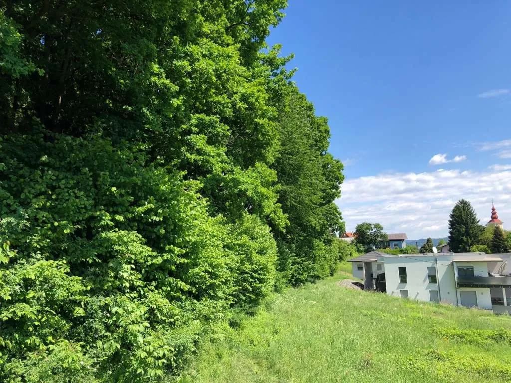 Grundstück kaufen in Leibnitz – 924 m², € 147.840 – Bild 11 von 12
