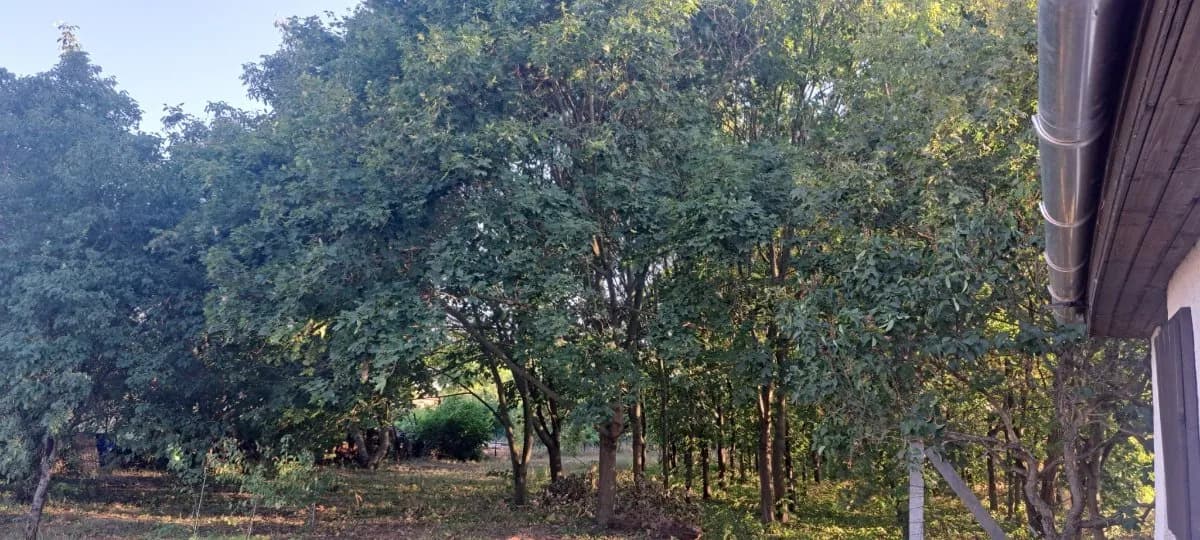 4-Zimmer-Haus kaufen in Österreich – 140 m², € 220.000 – Bild 7 von 23
