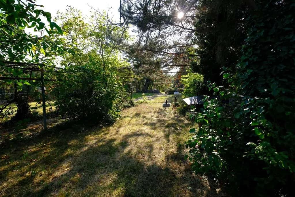 Immobilie kaufen in Gänserndorf – 100 m², € 459.000 – Bild 12 von 15