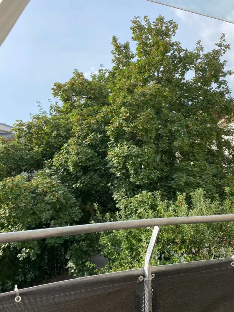 3-Zimmer-Wohnung mieten in Klagenfurt – 85 m², € 1.350 – Bild 5 von 9