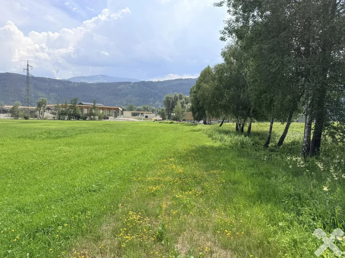 Grundstück kaufen in Liezen – 19 642 m², € 349.000 – Bild 6 von 8