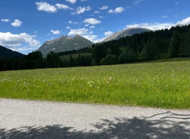 Grundstück kaufen in Tamsweg – 872 m², € 261.600 – Bild 4 von 6