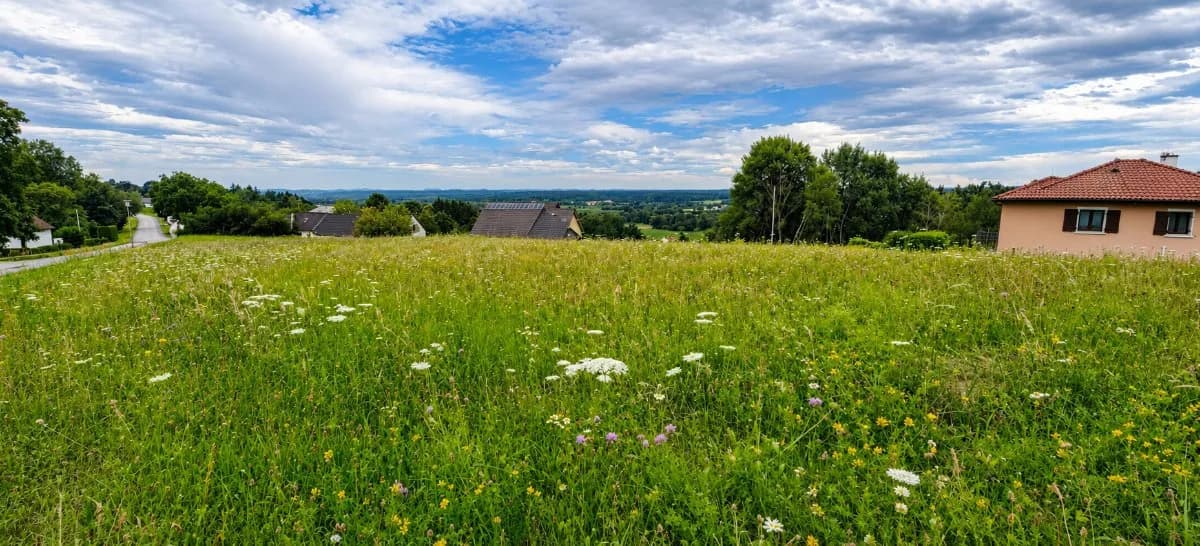 Grundstück kaufen in Güssing – 3 000 m²