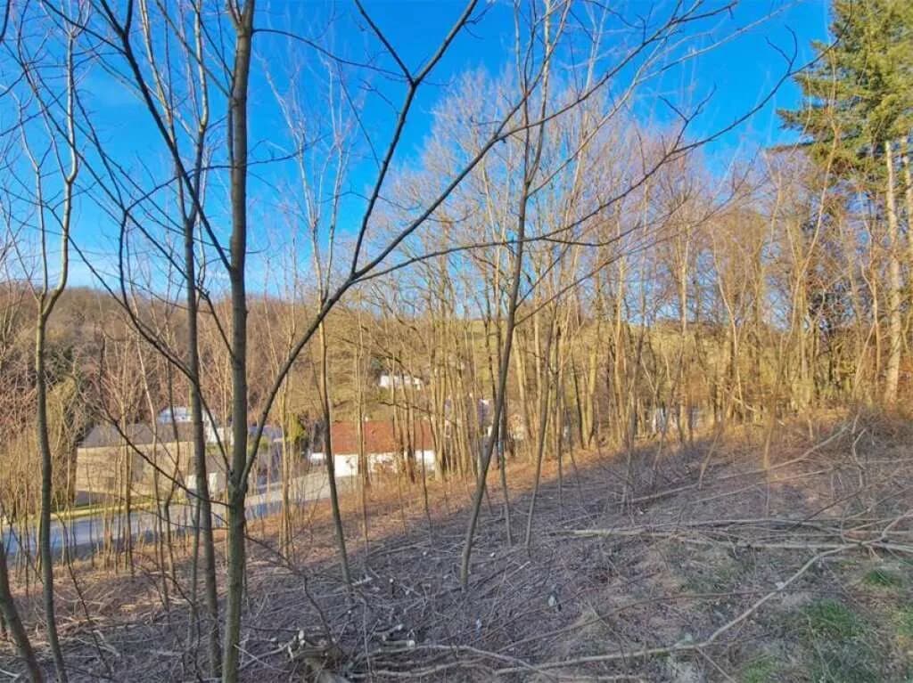 Grundstück kaufen in Sankt Pölten Land – 3 956 m², € 390.000 – Bild 4 von 8