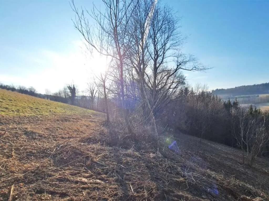 Grundstück kaufen in Sankt Pölten Land – 3 956 m², € 390.000 – Bild 6 von 8