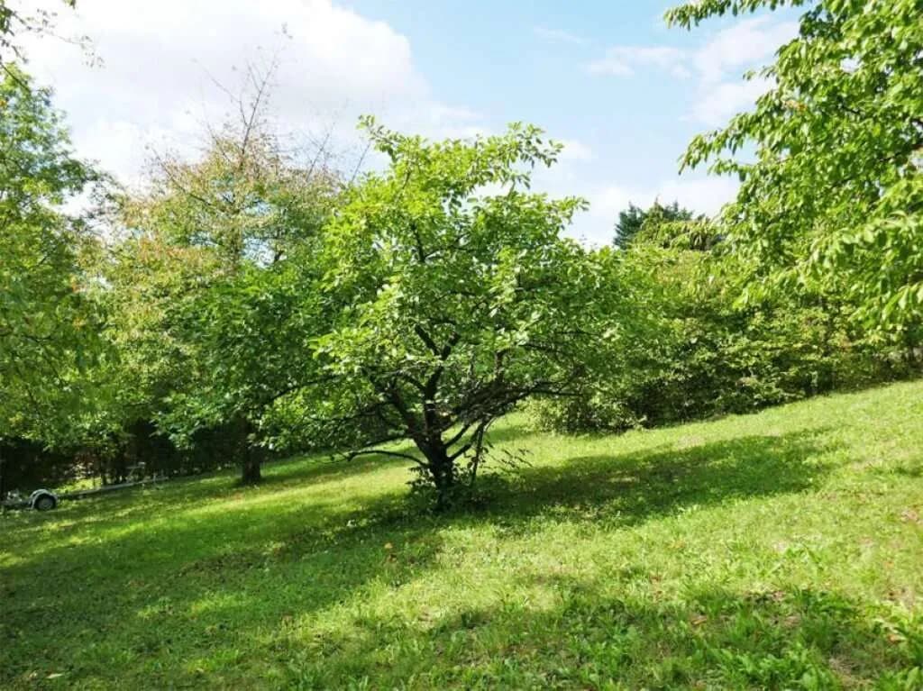 Grundstück kaufen in Tulln – 1 392 m², € 450.000 – Bild 7 von 9
