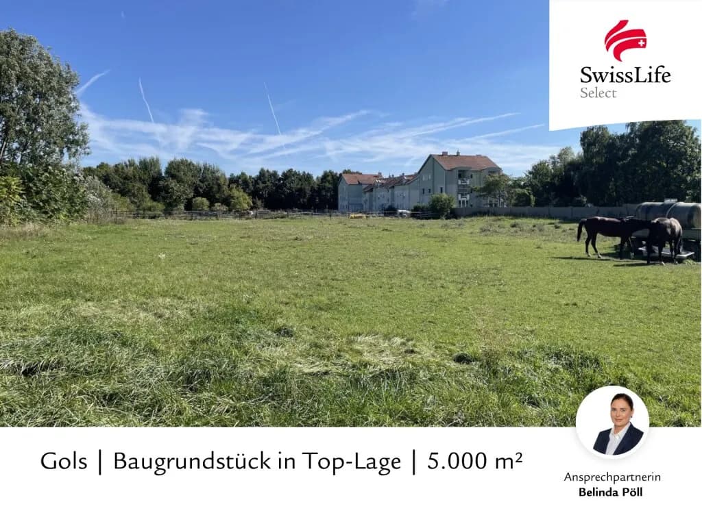 Grundstück kaufen in Neusiedl am See – 5 000 m², € 1.250.000