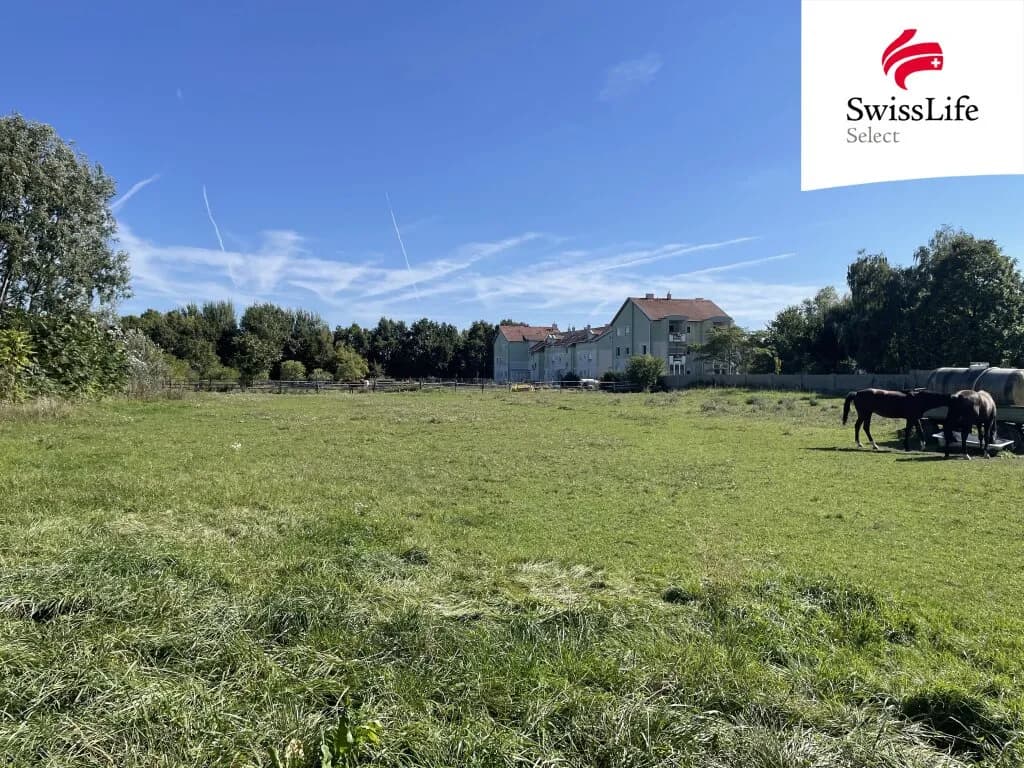 Grundstück kaufen in Neusiedl am See – 5 000 m², € 1.250.000 – Bild 4 von 4
