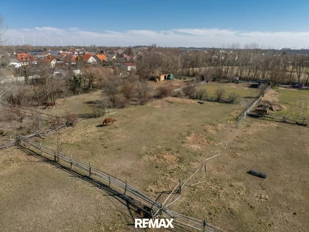 Grundstück kaufen in Neusiedl am See – 5 000 m², € 1.250.000 – Bild 9 von 10