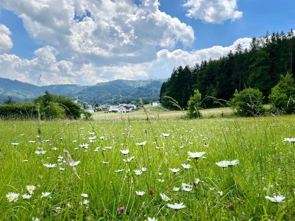 Grundstück kaufen in Vöcklabruck – 3 300 m² – Bild 2 von 2