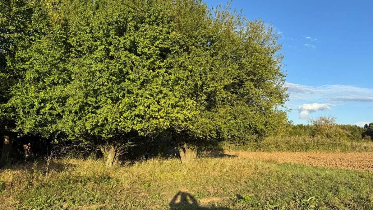 Wohnung kaufen in Österreich – 16 m², € 32.900 – Bild 12 von 17