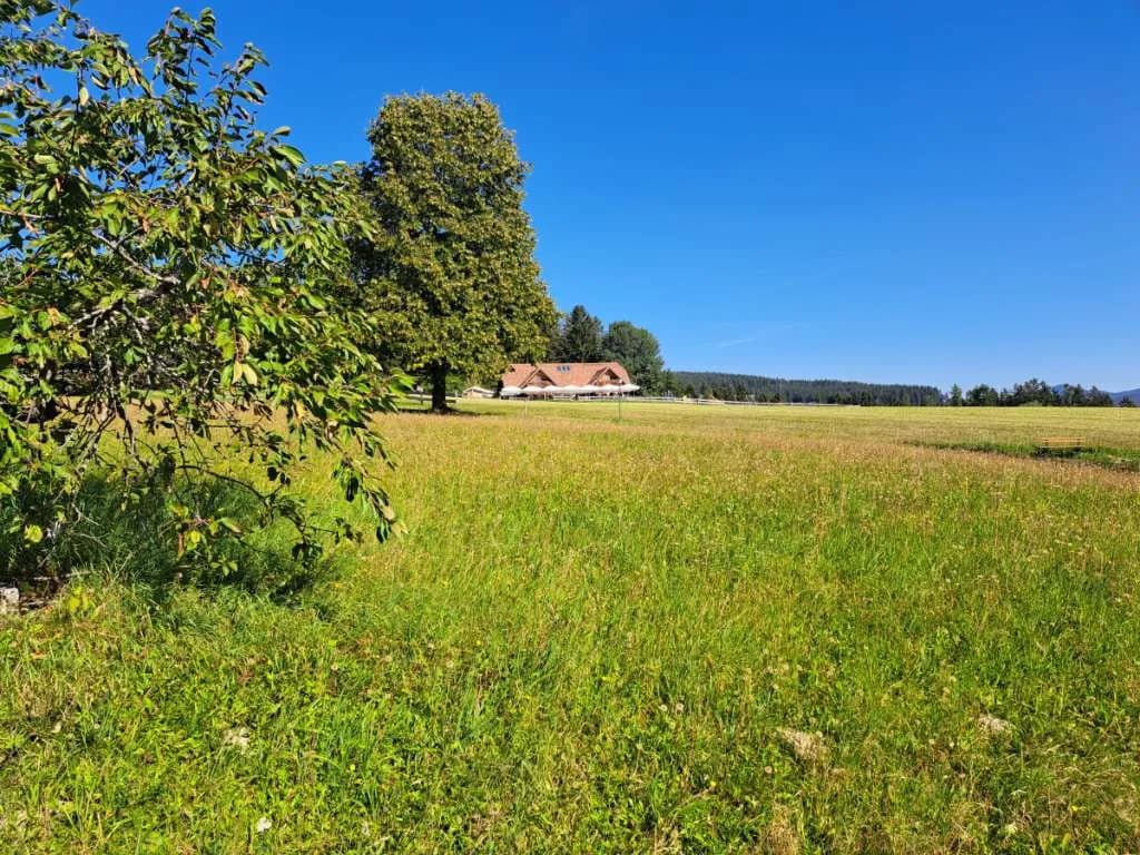 Grundstück kaufen in Hartberg-Fürstenfeld – 1 413 m², € 73.476 – Bild 3 von 10
