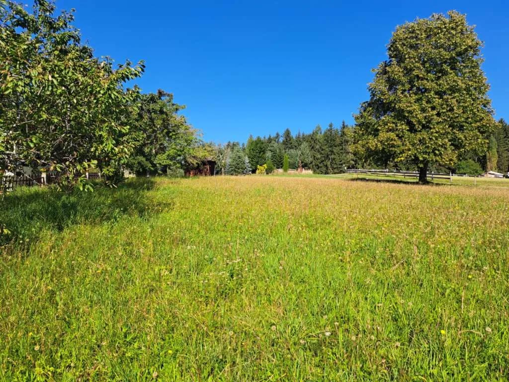 Grundstück kaufen in Hartberg-Fürstenfeld – 1 413 m², € 73.476 – Bild 8 von 10