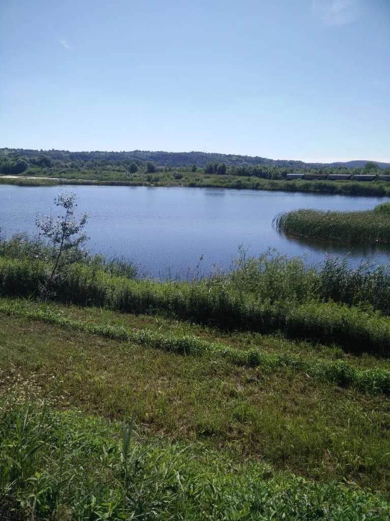 Immobilie kaufen in Österreich – 22 000 m², € 780.000 – Bild 2 von 16