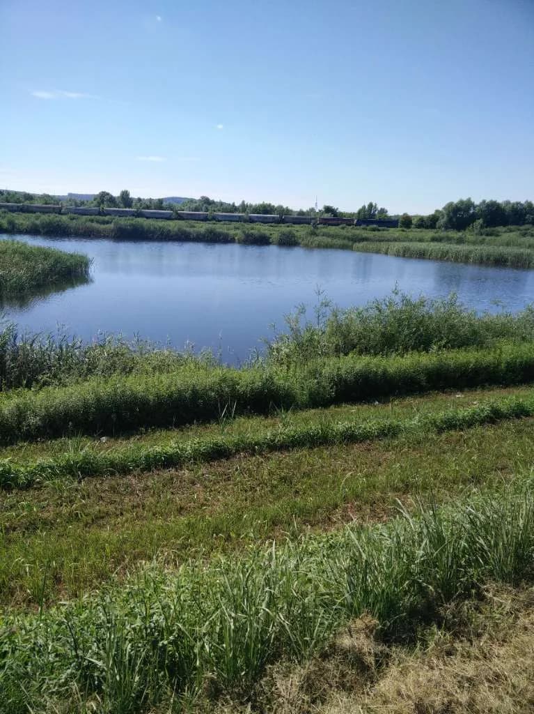 Immobilie kaufen in Österreich – 22 000 m², € 780.000 – Bild 6 von 16