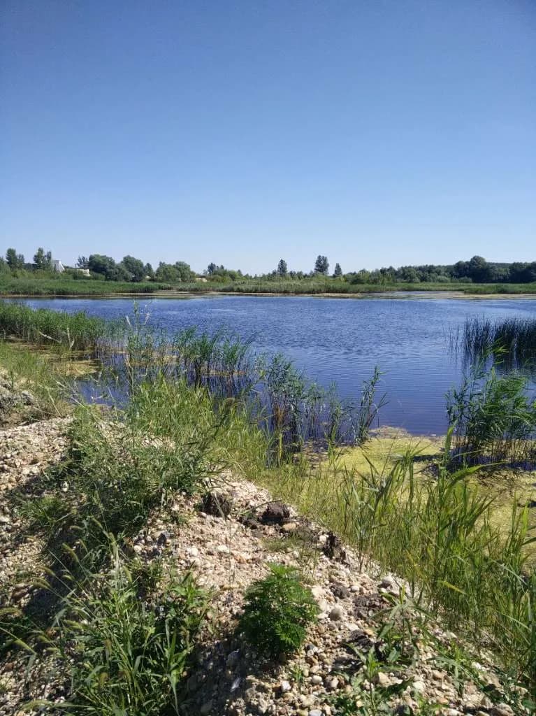 Immobilie kaufen in Österreich – 22 000 m², € 780.000 – Bild 8 von 16