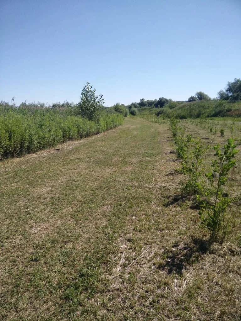 Immobilie kaufen in Österreich – 22 000 m², € 780.000 – Bild 11 von 16