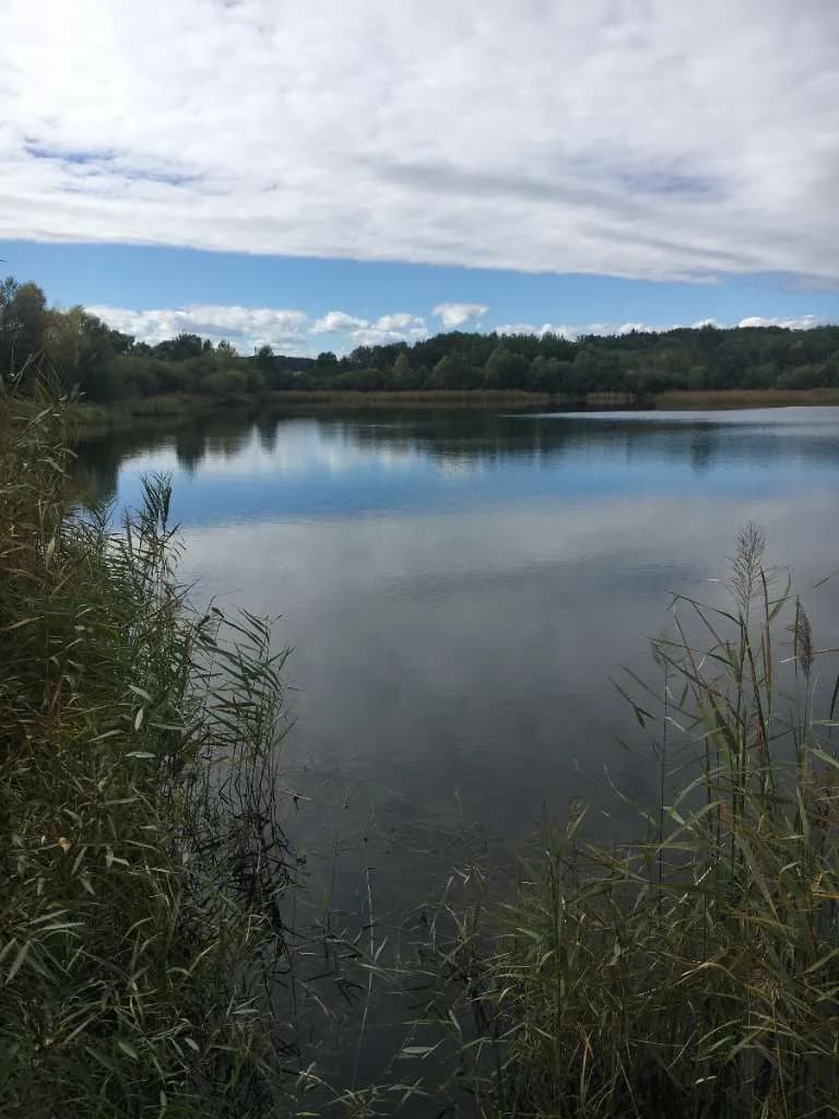 Immobilie kaufen in Österreich – 22 000 m², € 780.000 – Bild 15 von 16