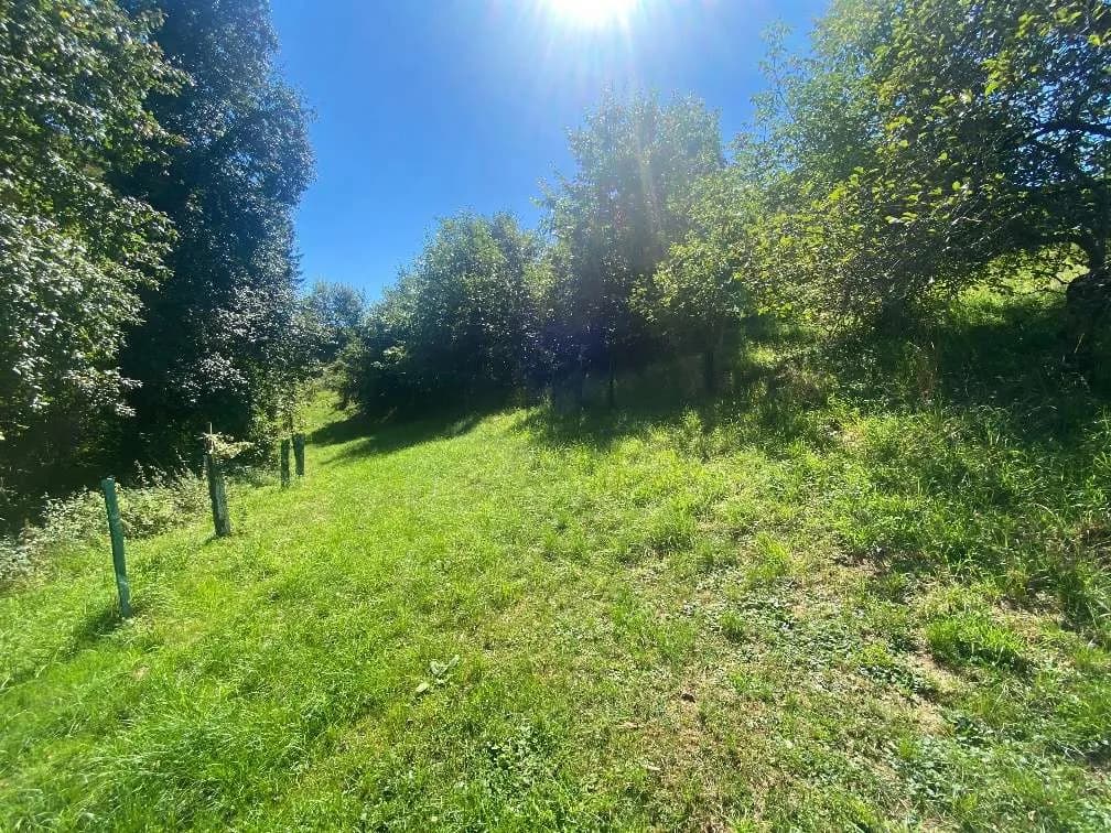 Grundstück kaufen in Graz-Umgebung – 1 345 m², € 149.000 – Bild 4 von 5