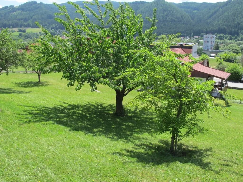 Grundstück kaufen in Bruck-Mürzzuschlag – 1 655 m², € 249.000 – Bild 3 von 8