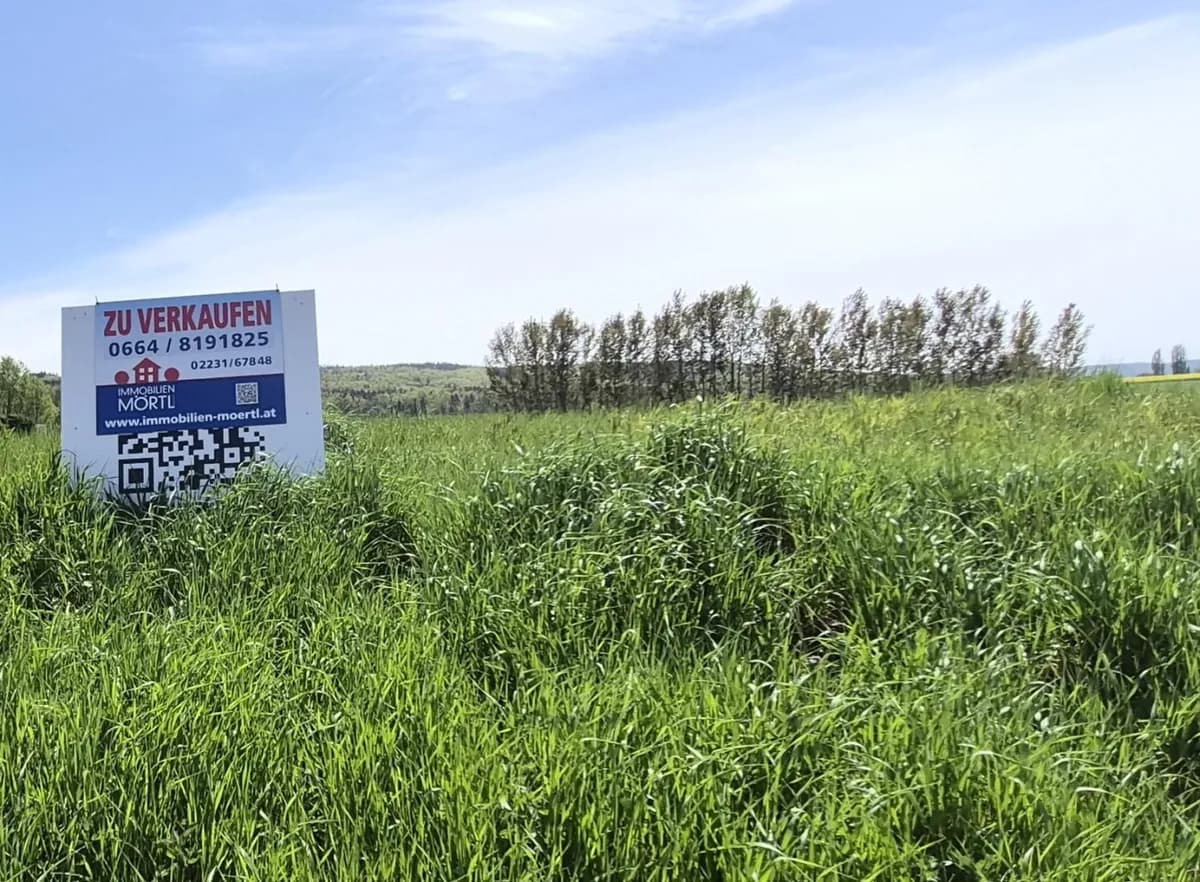 Grundstück kaufen in Horn – 7 627 m², € 198.000