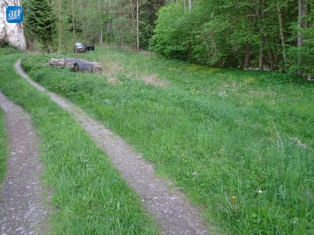 Grundstück kaufen in Rohrbach – 925 m², € 75.000