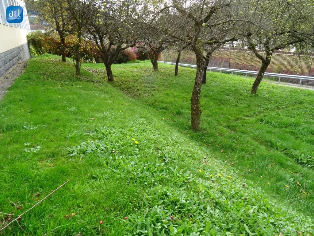 Wohnung mieten in Schärding – € 850 – Bild 5 von 5